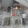 Stainless Steel 304 And 316 Vacuum Mixer with Homogenizer Tank 
