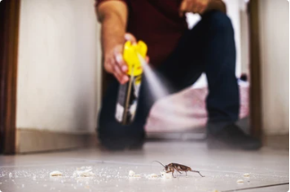 Aerosol Insecticide Solvents You Should Know