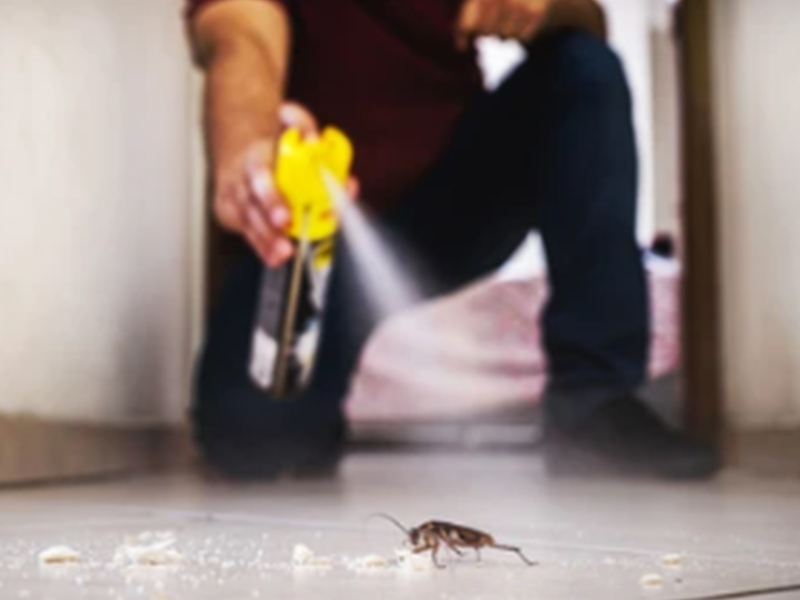 Insecticide Production and Filling Machine and Solutions